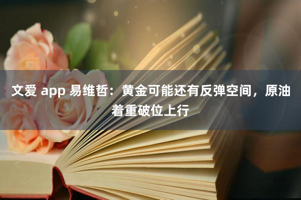 文爱 app 易维哲：黄金可能还有反弹空间，原油着重破位上行