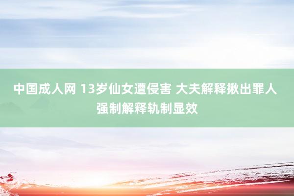 中国成人网 13岁仙女遭侵害 大夫解释揪出罪人 强制解释轨制显效