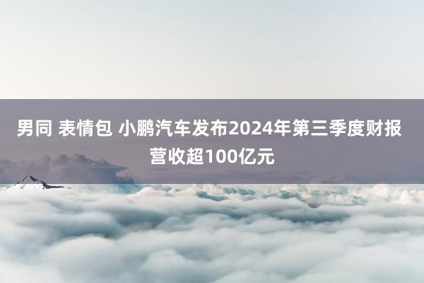 男同 表情包 小鹏汽车发布2024年第三季度财报 营收超100亿元