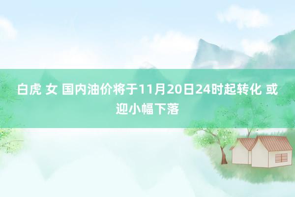 白虎 女 国内油价将于11月20日24时起转化 或迎小幅下落