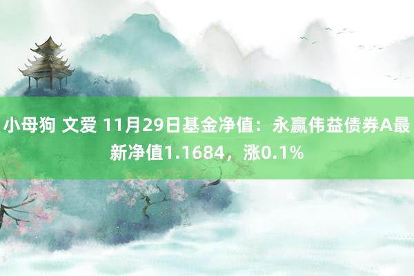 小母狗 文爱 11月29日基金净值：永赢伟益债券A最新净值1.1684，涨0.1%