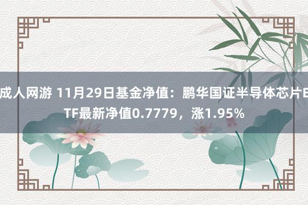 成人网游 11月29日基金净值：鹏华国证半导体芯片ETF最新净值0.7779，涨1.95%