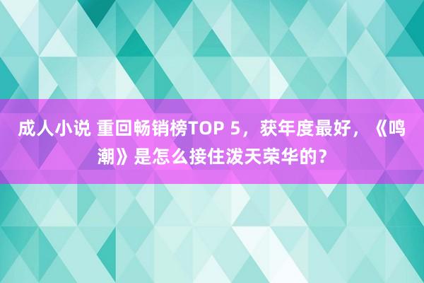 成人小说 重回畅销榜TOP 5，获年度最好，《鸣潮》是怎么接住泼天荣华的？