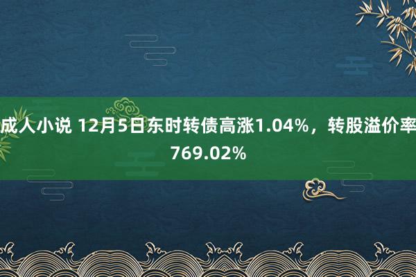 成人小说 12月5日东时转债高涨1.04%，转股溢价率769.02%