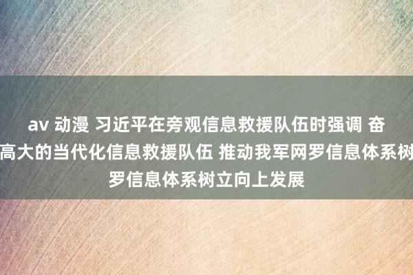 av 动漫 习近平在旁观信息救援队伍时强调 奋力树立一支高大的当代化信息救援队伍 推动我军网罗信息体系树立向上发展