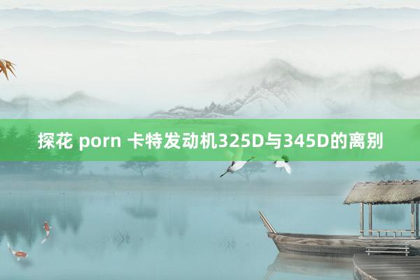 探花 porn 卡特发动机325D与345D的离别