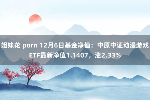 姐妹花 porn 12月6日基金净值：中原中证动漫游戏ETF最新净值1.1407，涨2.33%