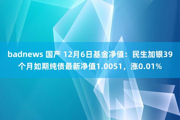 badnews 国产 12月6日基金净值：民生加银39个月如期纯债最新净值1.0051，涨0.01%