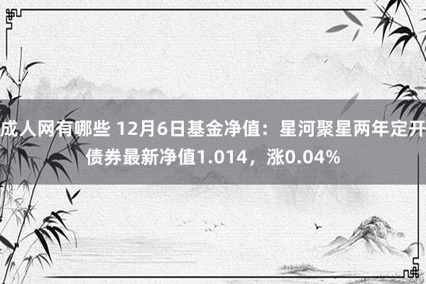 成人网有哪些 12月6日基金净值：星河聚星两年定开债券最新净值1.014，涨0.04%