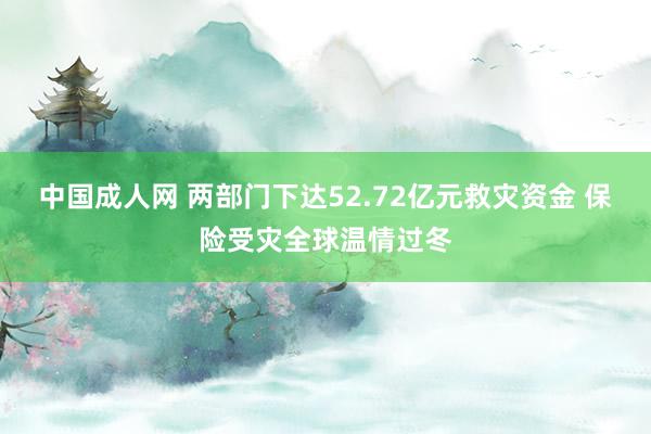 中国成人网 两部门下达52.72亿元救灾资金 保险受灾全球温情过冬