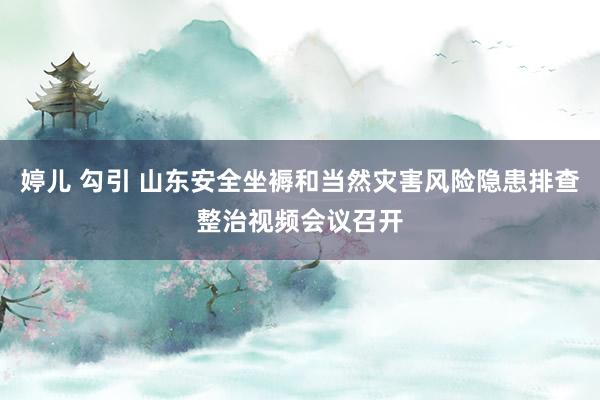 婷儿 勾引 山东安全坐褥和当然灾害风险隐患排查整治视频会议召开