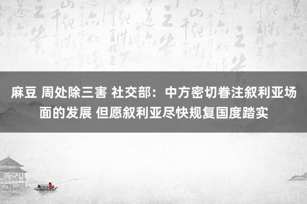 麻豆 周处除三害 社交部：中方密切眷注叙利亚场面的发展 但愿叙利亚尽快规复国度踏实