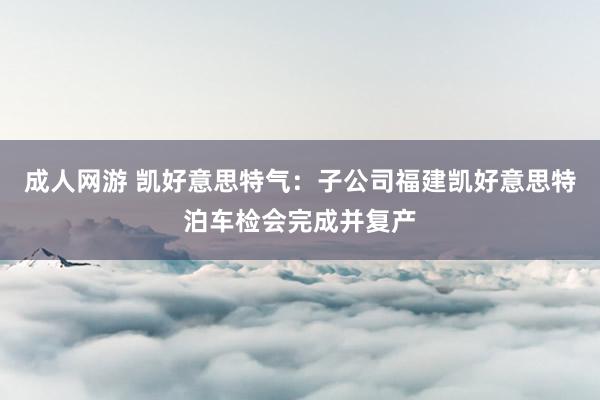 成人网游 凯好意思特气：子公司福建凯好意思特泊车检会完成并复产