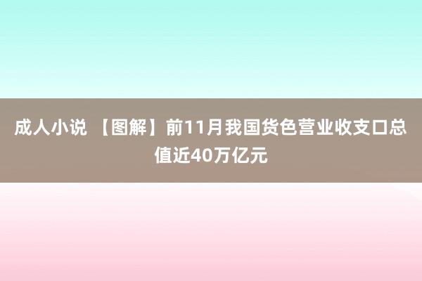 成人小说 【图解】前11月我国货色营业收支口总值近40万亿元