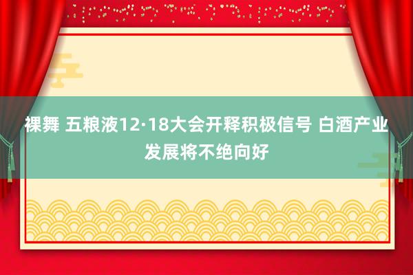 裸舞 五粮液12·18大会开释积极信号 白酒产业发展将不绝向好