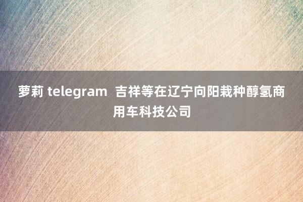 萝莉 telegram  吉祥等在辽宁向阳栽种醇氢商用车科技公司