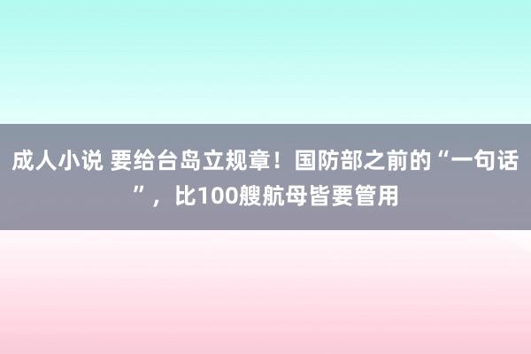 成人小说 要给台岛立规章！国防部之前的“一句话”，比100艘航母皆要管用