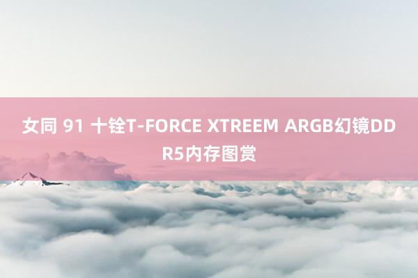 女同 91 十铨T-FORCE XTREEM ARGB幻镜DDR5内存图赏