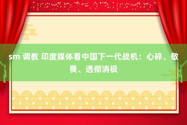 sm 调教 印度媒体看中国下一代战机：心碎、敬畏、透彻消极