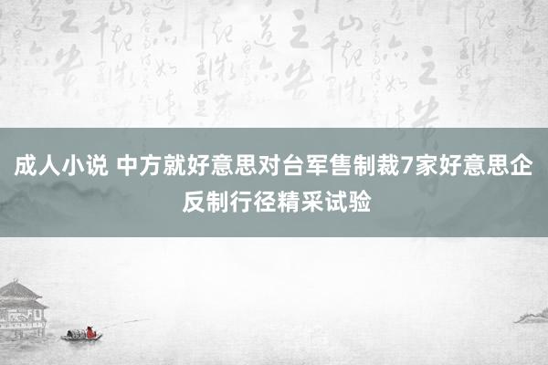 成人小说 中方就好意思对台军售制裁7家好意思企 反制行径精采试验