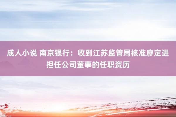 成人小说 南京银行：收到江苏监管局核准廖定进担任公司董事的任职资历