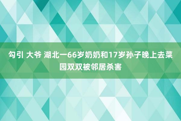 勾引 大爷 湖北一66岁奶奶和17岁孙子晚上去菜园双双被邻居杀害