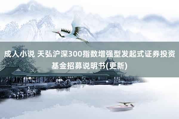 成人小说 天弘沪深300指数增强型发起式证券投资基金招募说明书(更新)