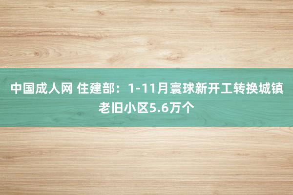 中国成人网 住建部：1-11月寰球新开工转换城镇老旧小区5.6万个