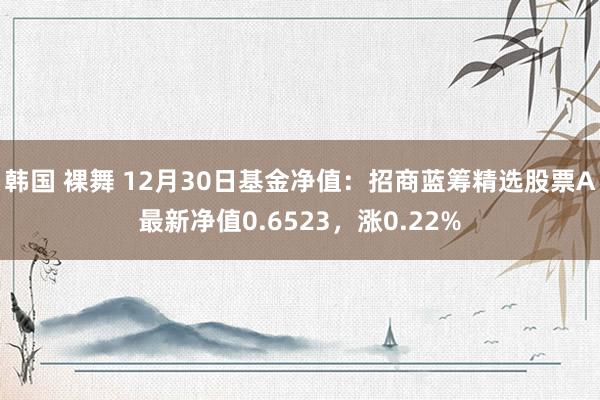 韩国 裸舞 12月30日基金净值：招商蓝筹精选股票A最新净值0.6523，涨0.22%