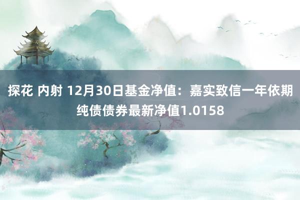 探花 内射 12月30日基金净值：嘉实致信一年依期纯债债券最新净值1.0158