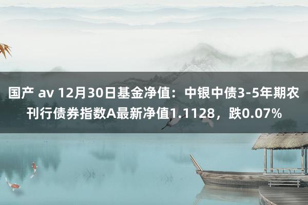 国产 av 12月30日基金净值：中银中债3-5年期农刊行债券指数A最新净值1.1128，跌0.07%