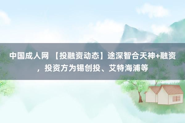 中国成人网 【投融资动态】途深智合天神+融资，投资方为锡创投、艾特海浦等