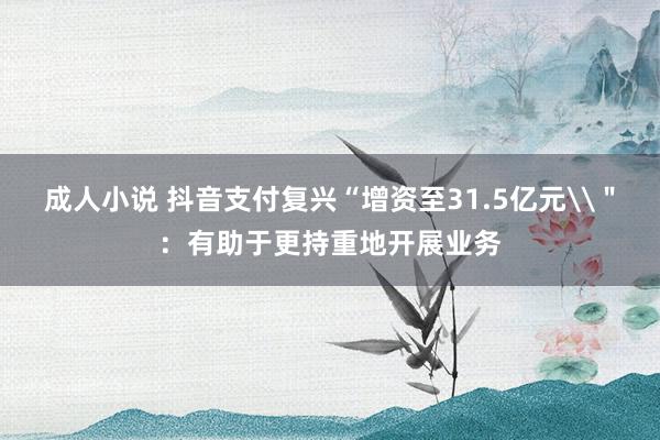 成人小说 抖音支付复兴“增资至31.5亿元\＂：有助于更持重地开展业务