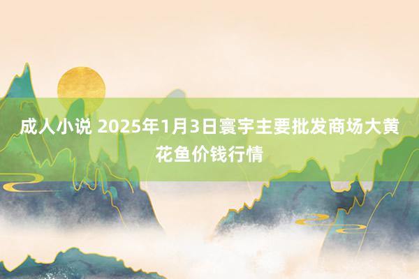 成人小说 2025年1月3日寰宇主要批发商场大黄花鱼价钱行情