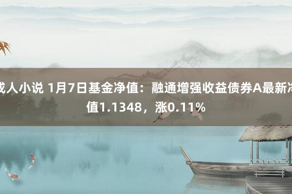 成人小说 1月7日基金净值：融通增强收益债券A最新净值1.1348，涨0.11%