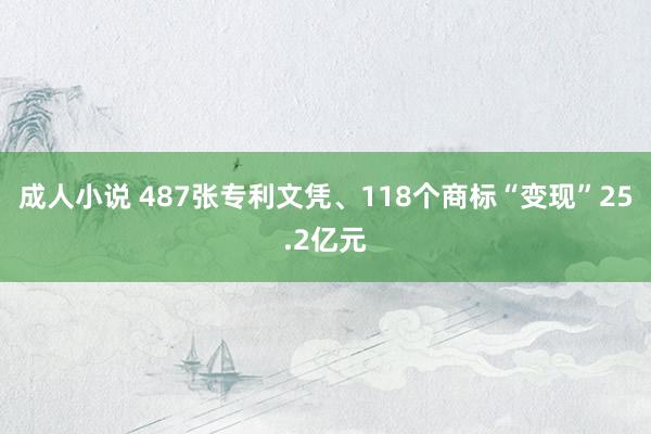 成人小说 487张专利文凭、118个商标“变现”25.2亿元