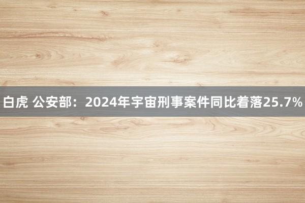 白虎 公安部：2024年宇宙刑事案件同比着落25.7%