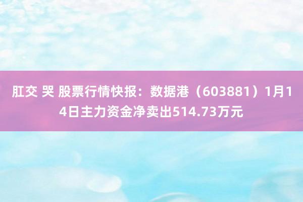 肛交 哭 股票行情快报：数据港（603881）1月14日主力资金净卖出514.73万元