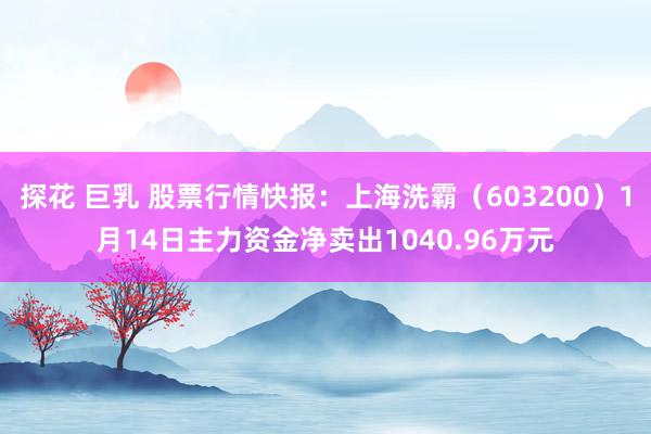 探花 巨乳 股票行情快报：上海洗霸（603200）1月14日主力资金净卖出1040.96万元