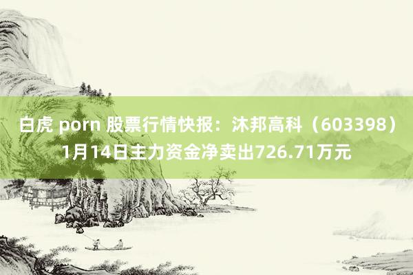 白虎 porn 股票行情快报：沐邦高科（603398）1月14日主力资金净卖出726.71万元