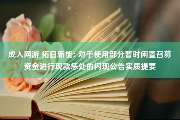 成人网游 拓日新能: 对于使用部分暂时闲置召募资金进行现款惩处的闪现公告实质提要