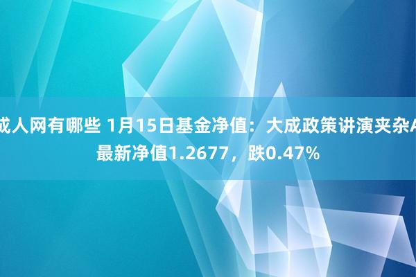 成人网有哪些 1月15日基金净值：大成政策讲演夹杂A最新净值1.2677，跌0.47%